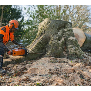 Motorna testera MS 881 u šumi