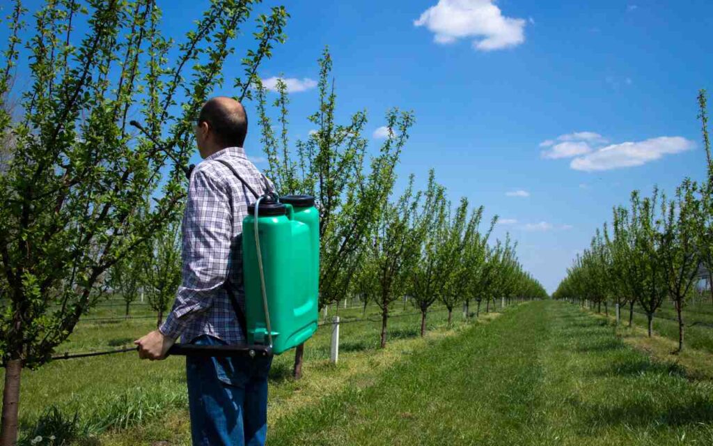Man agronomist treating apple trees with pesticides in orchard.